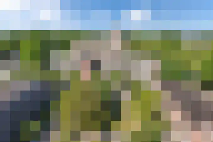 Staalstraat 150 Emmeloord thumbnail 8