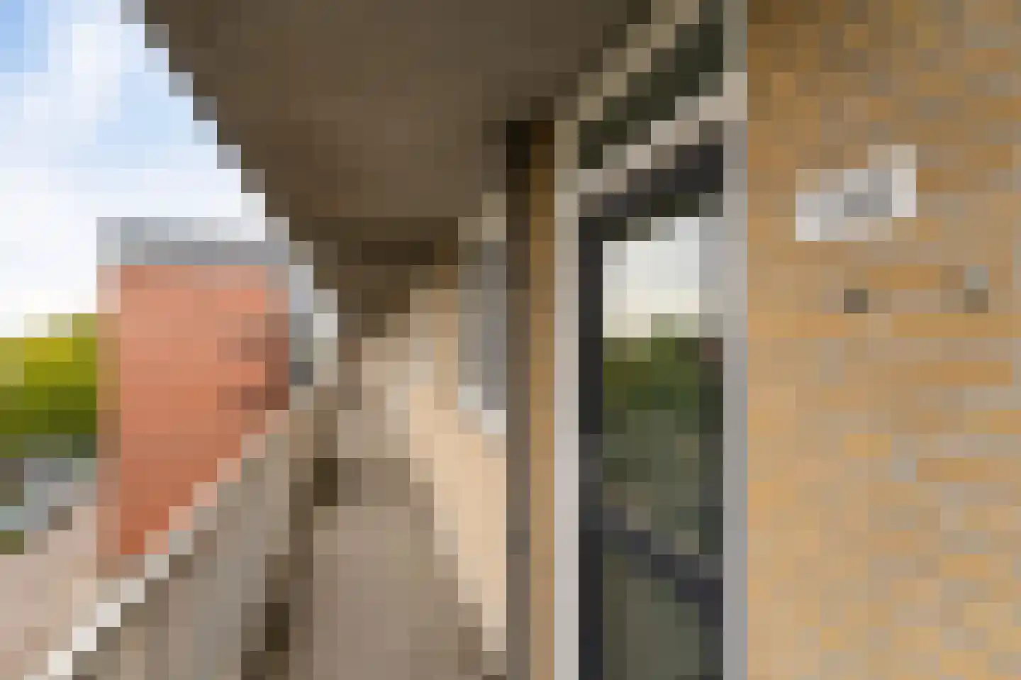 Staalstraat 158 Emmeloord thumbnail 15