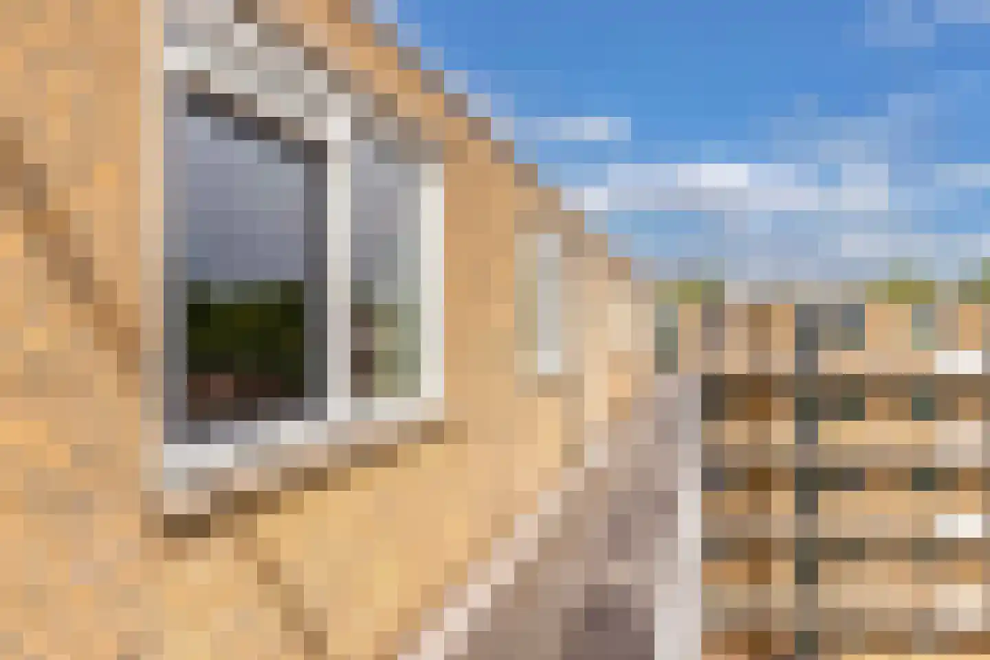 Staalstraat 180 Emmeloord thumbnail 25