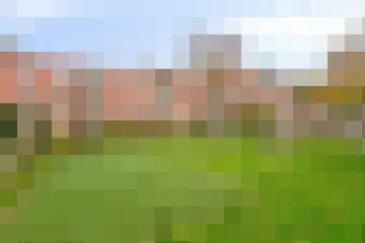 Staalstraat 26 Emmeloord thumbnail 32
