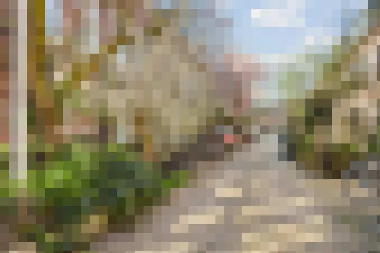 Staalstraat 31 Utrecht thumbnail 36
