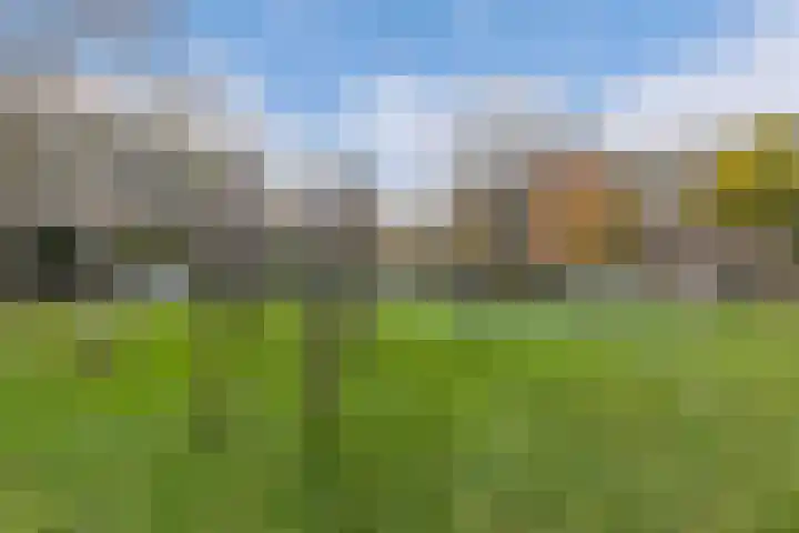Staalstraat 32 Emmeloord thumbnail 6