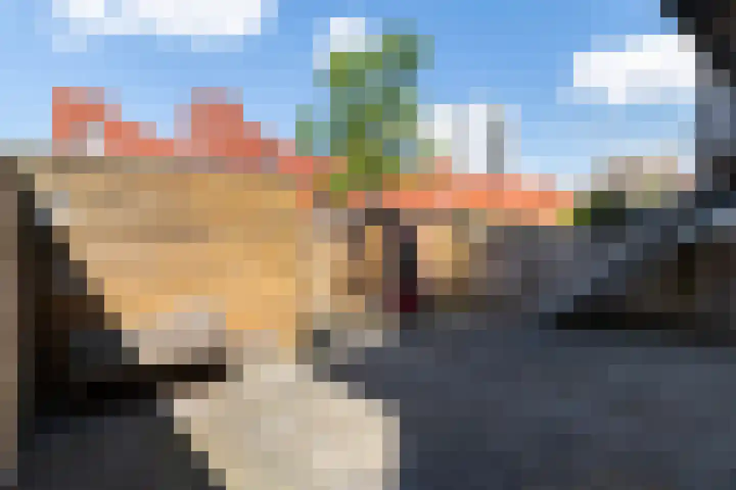 Staalstraat 43 Rotterdam thumbnail 18