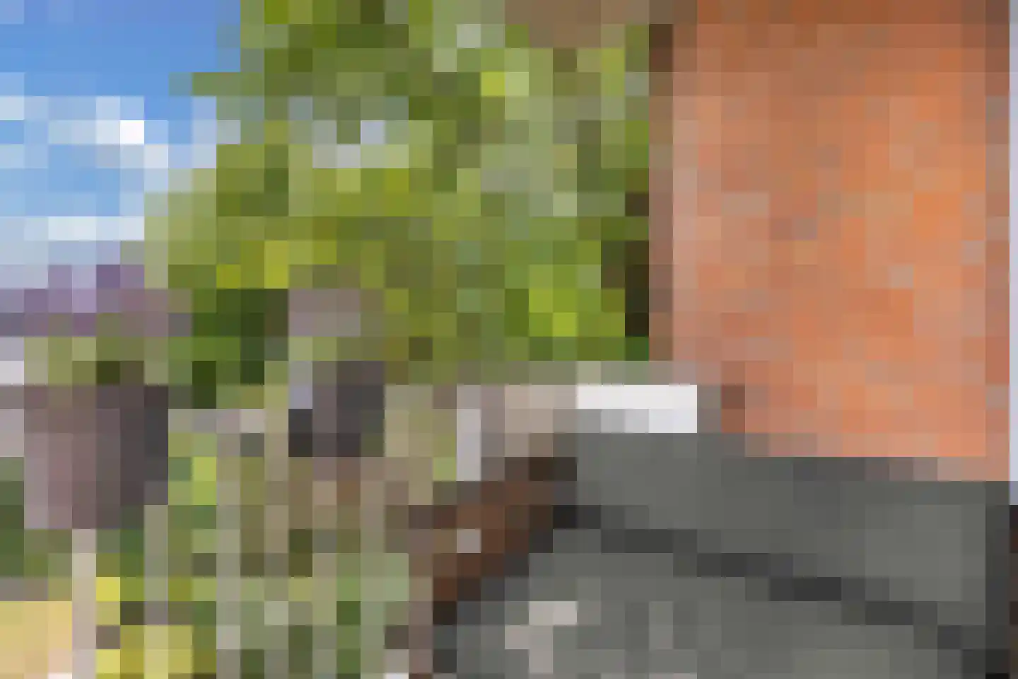 Staalstraat 46 Emmeloord thumbnail 10