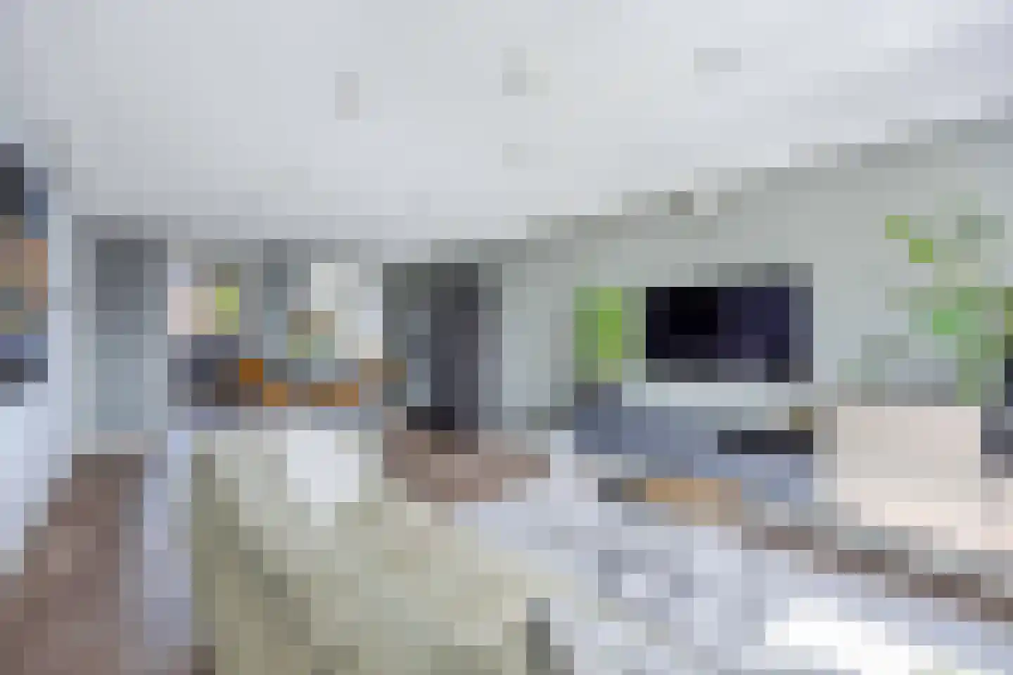 Staalstraat 46 Emmeloord thumbnail 23
