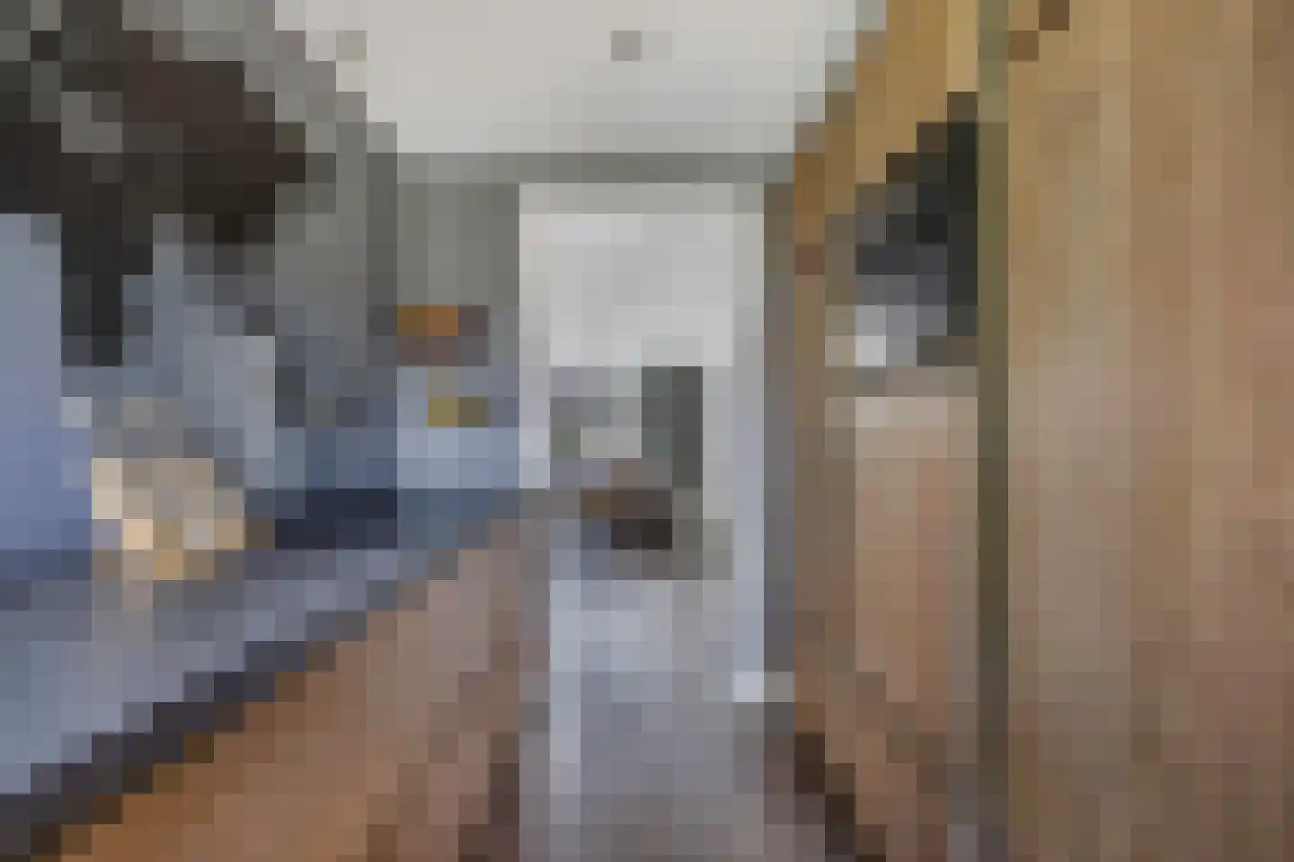 Staalstraat 46 Emmeloord thumbnail 32