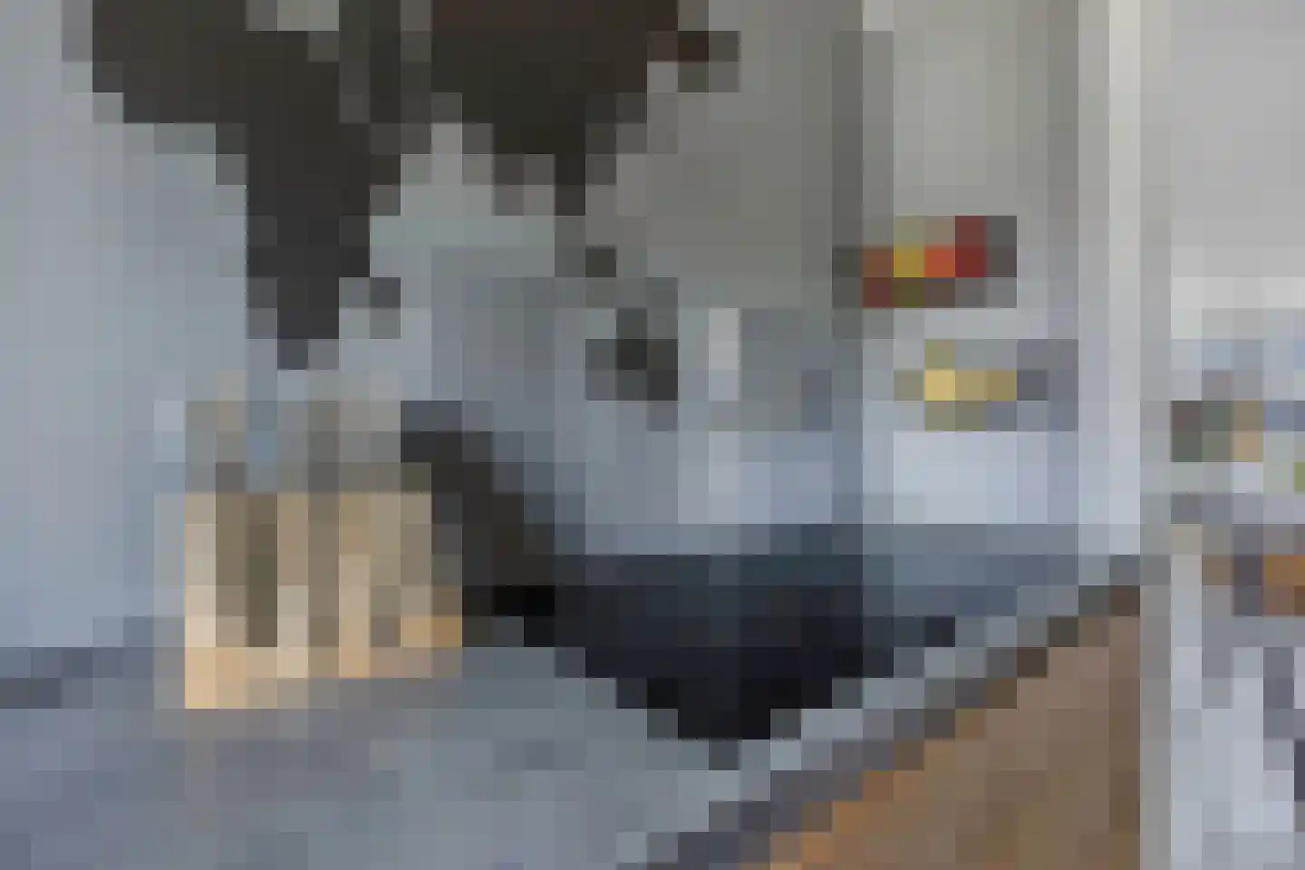 Staalstraat 46 Emmeloord thumbnail 33
