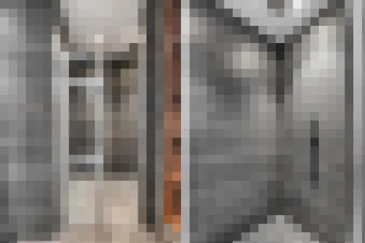 Staalstraat 46 Emmeloord thumbnail 43