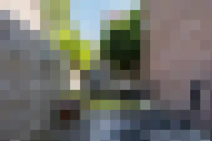 Staalstraat 50 Utrecht thumbnail 34