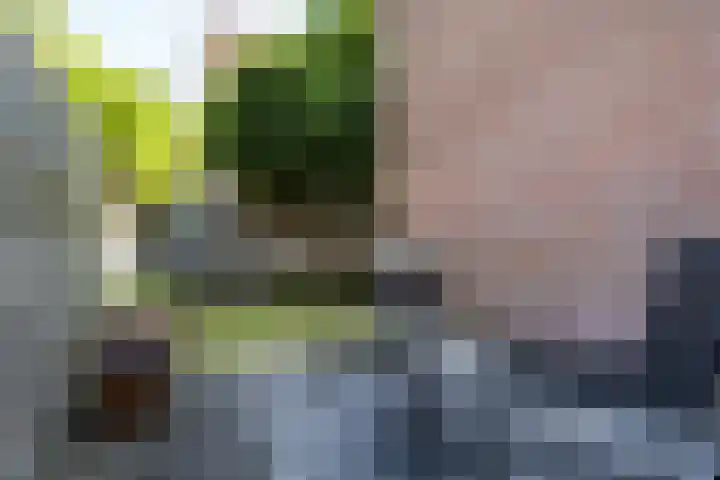 Staalstraat 50 Utrecht thumbnail 35