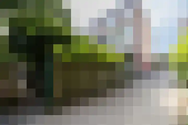 Staalstraat 50 Utrecht thumbnail 53