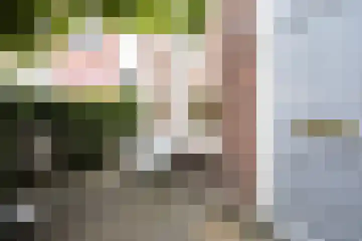 Staalstraat 50 Utrecht thumbnail 55