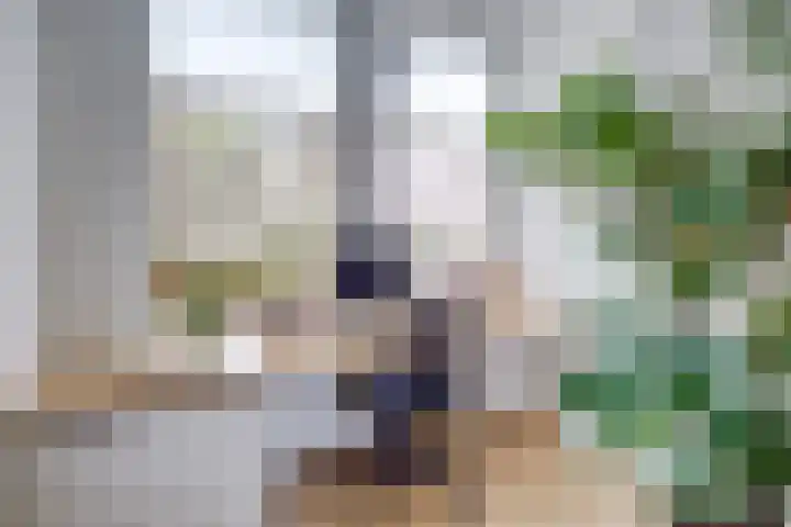 Staalstraat 50 Utrecht thumbnail 9