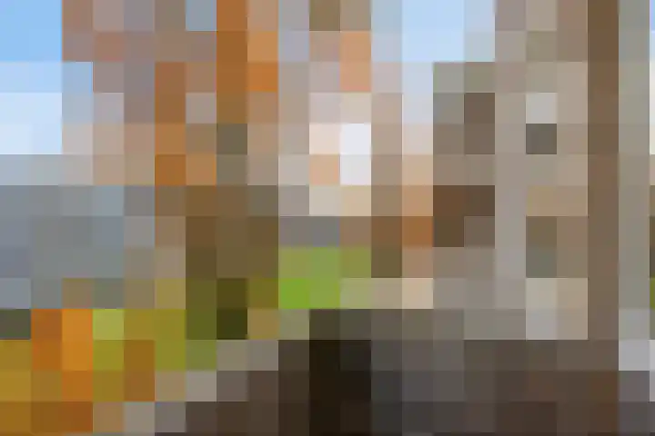 Staalstraat 57 Eindhoven thumbnail 16