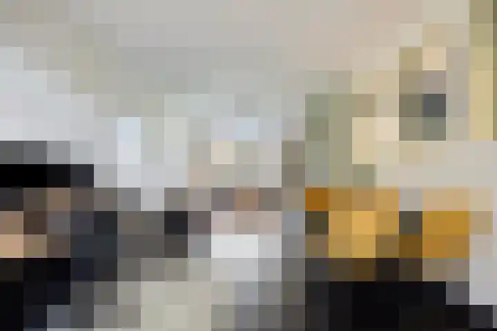 Staalstraat 57 Eindhoven thumbnail 8