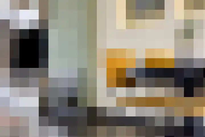 Staalstraat 57 Eindhoven thumbnail 9