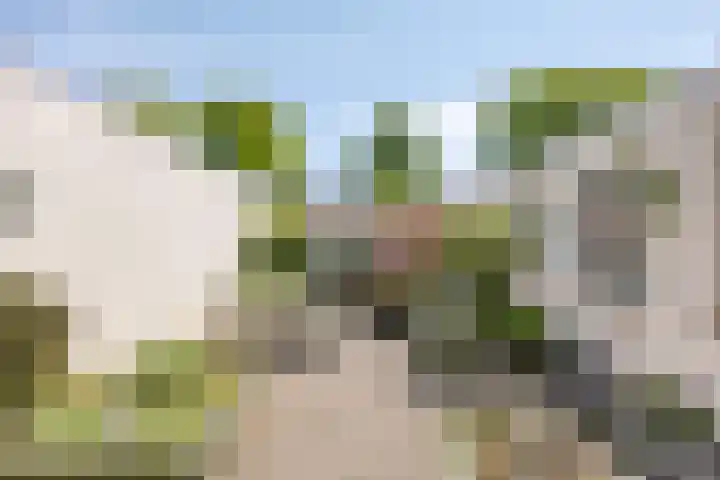 Staalstraat 6 Oss thumbnail 28