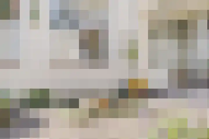 Staalstraat 6 Oss thumbnail 30