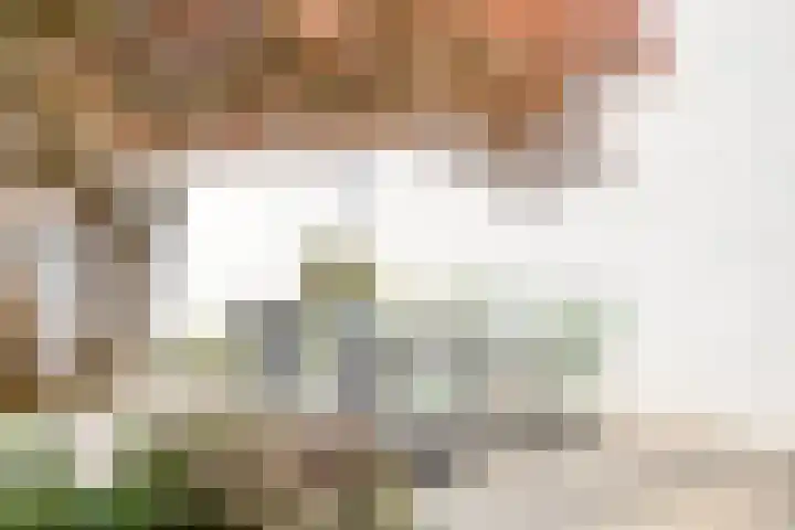 Staalstraat 6 Oss thumbnail 31