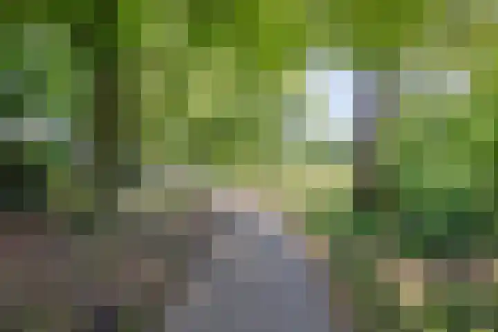Staalstraat 6 Oss thumbnail 40
