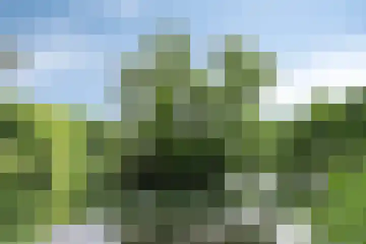 Staalstraat 6 Oss thumbnail 42