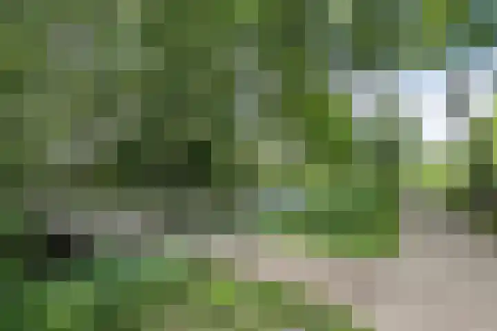 Staalstraat 6 Oss thumbnail 43