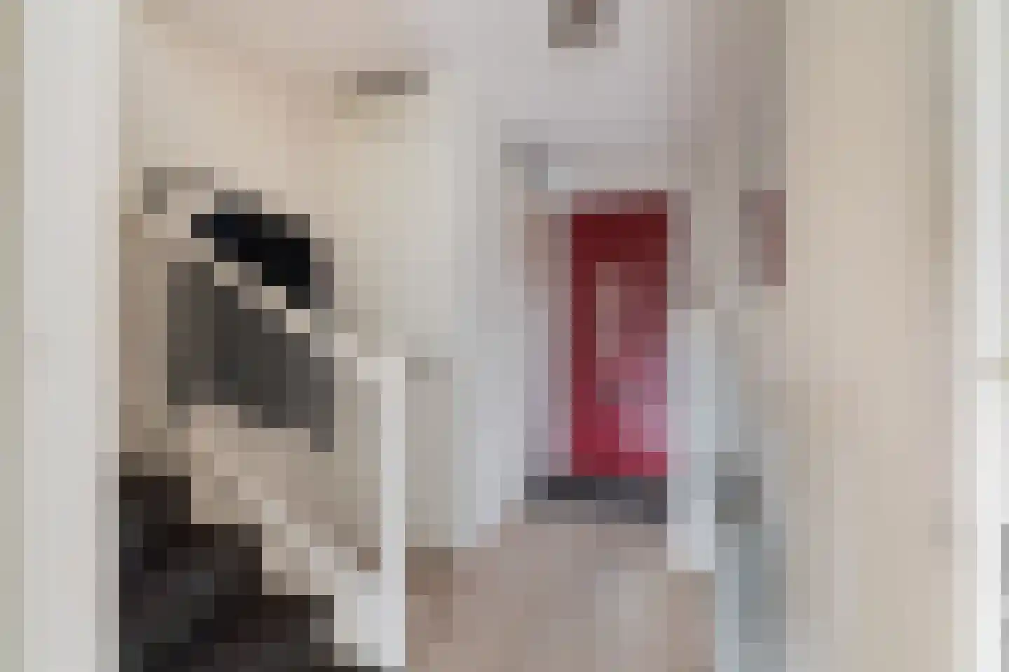 Staalvisserstraat 17 's-Gravenzande thumbnail 23
