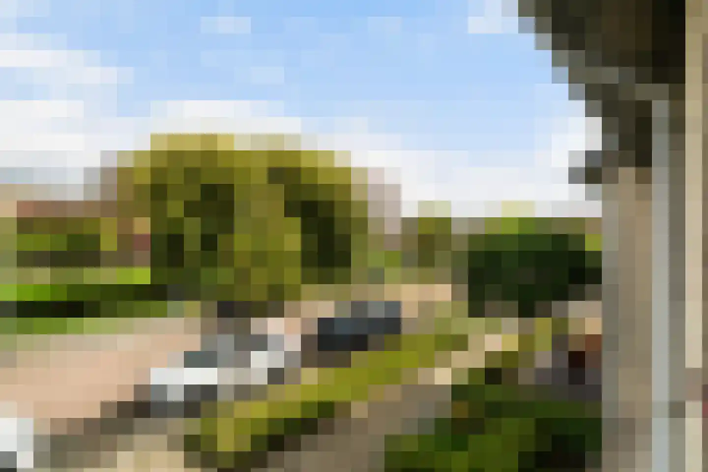 Staalvisserstraat 17 's-Gravenzande thumbnail 37