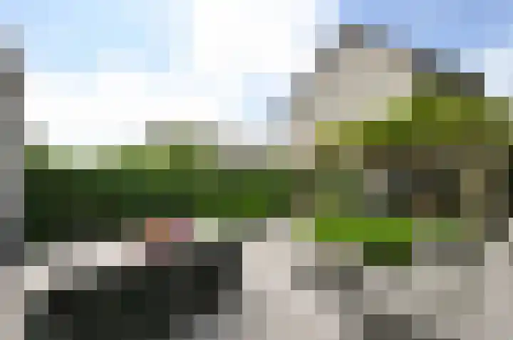 Staalvisserstraat 25 's-Gravenzande thumbnail 12