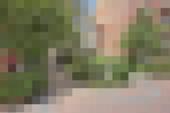 Staalweg 12 Delft thumbnail 4