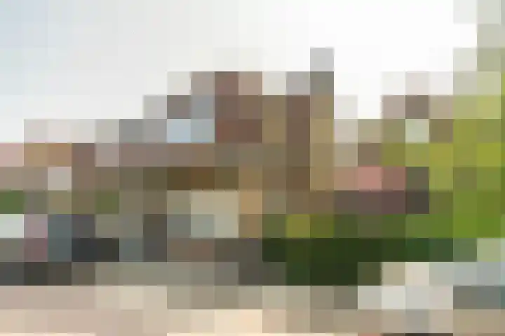 Staalwijkstraat 17 in Leiden