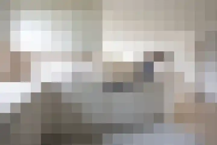 Staartmees 1 Uithoorn thumbnail 11