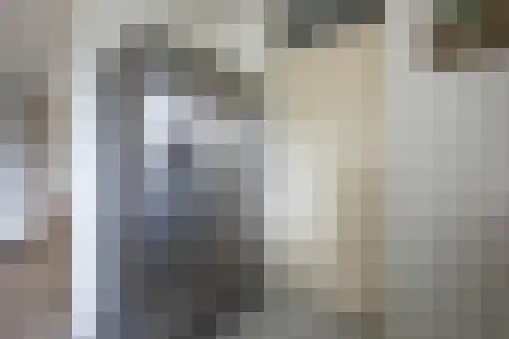 Staartmees 1 Uithoorn thumbnail 13