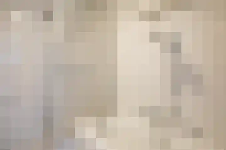 Staartmees 1 Uithoorn thumbnail 27