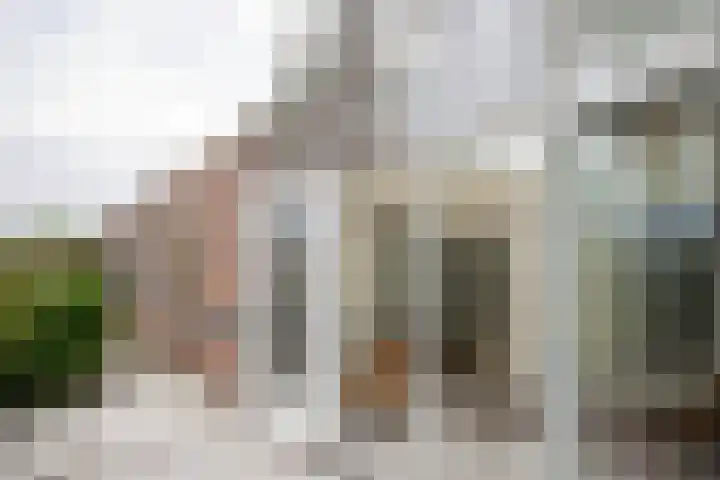 Staartmees 1 Uithoorn thumbnail 28