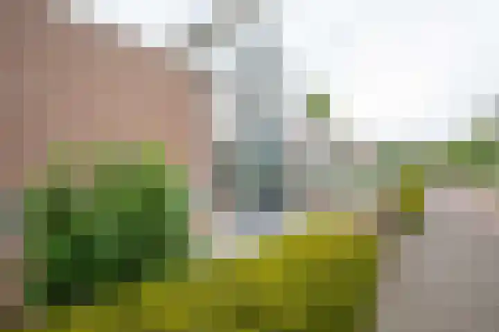 Staartmees 1 Uithoorn thumbnail 30