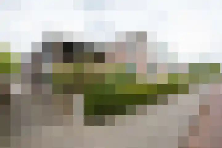 Staartmees 1 Uithoorn thumbnail 31