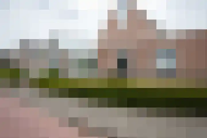 Staartmees 1 Uithoorn thumbnail 33