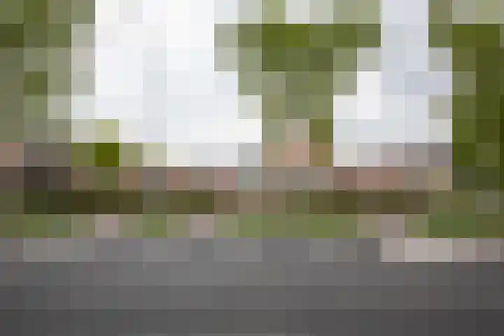 Staartmees 1 Uithoorn thumbnail 34