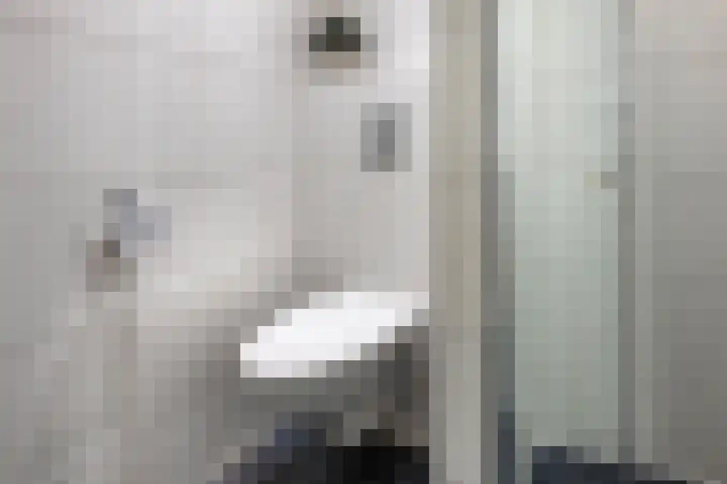 Staartmees 21 Emmen thumbnail 25