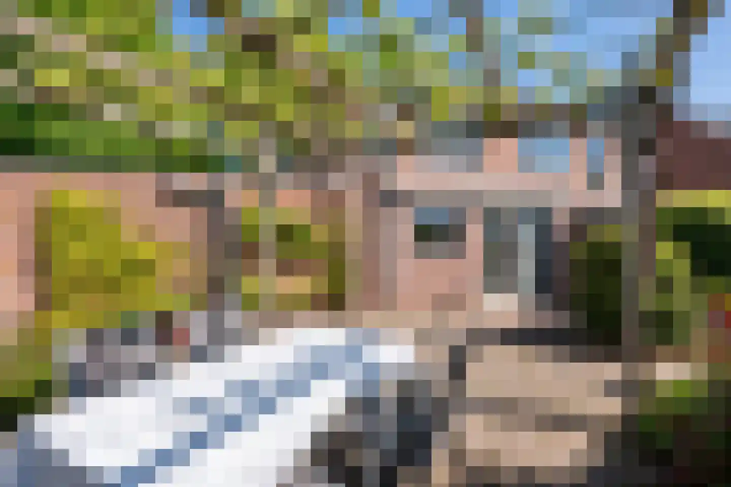 Staartmees 21 Emmen thumbnail 30