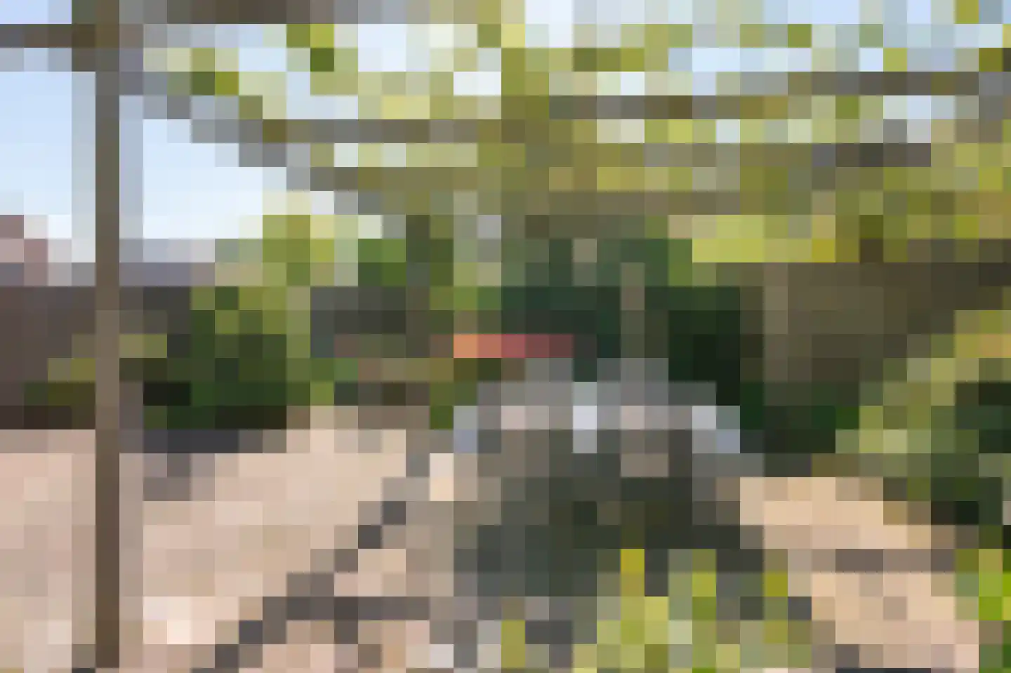 Staartmees 21 Emmen thumbnail 31