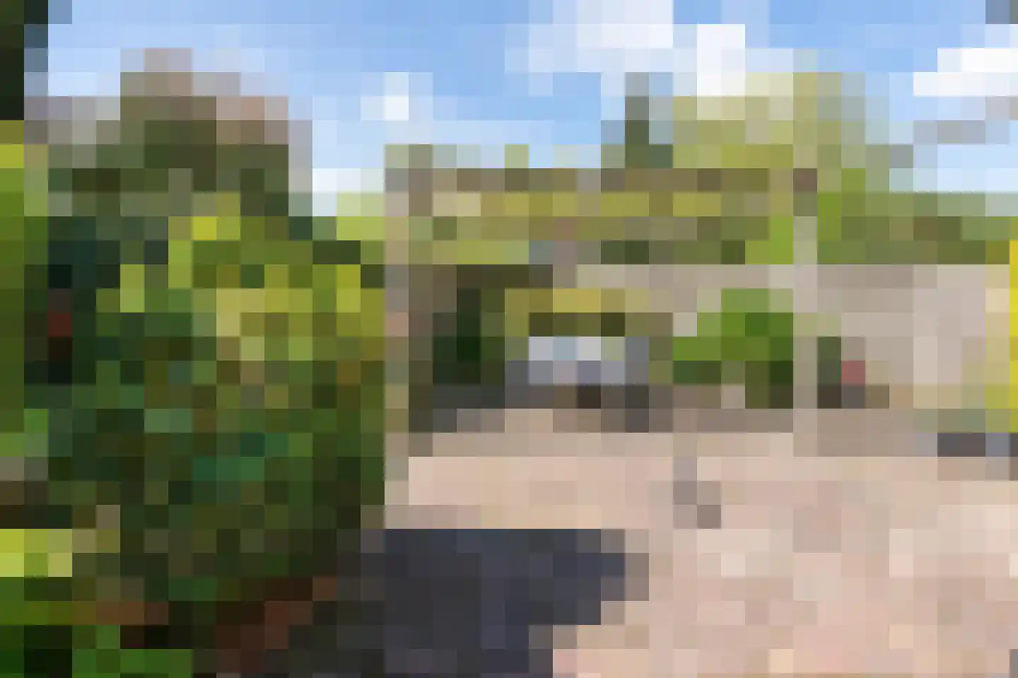 Staartmees 21 Emmen thumbnail 32