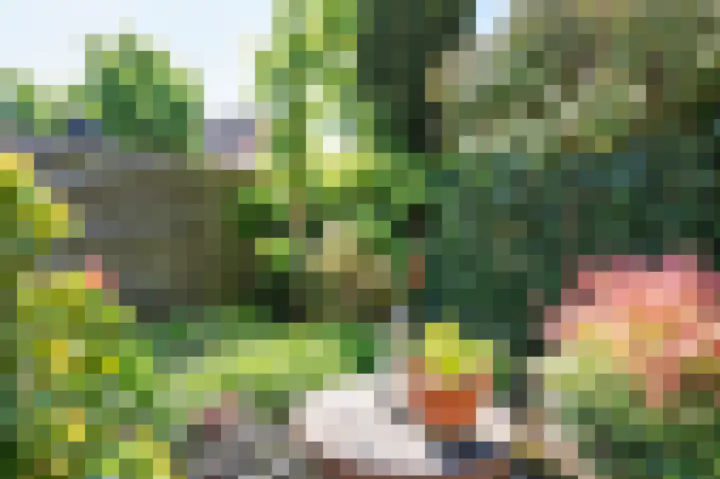 Staartmees 21 Emmen thumbnail 33
