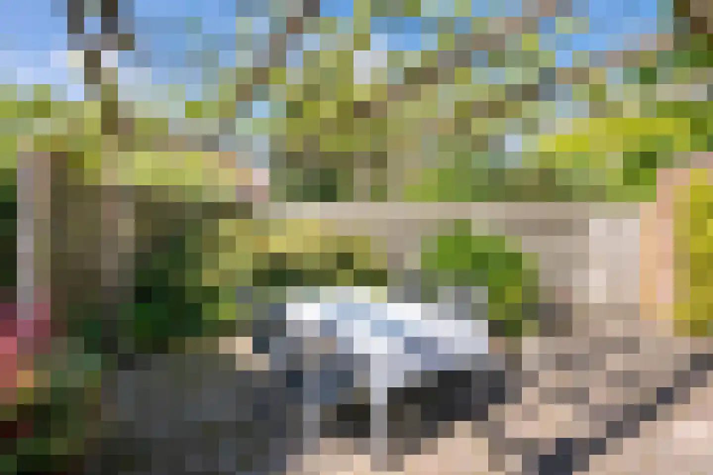 Staartmees 21 Emmen thumbnail 34