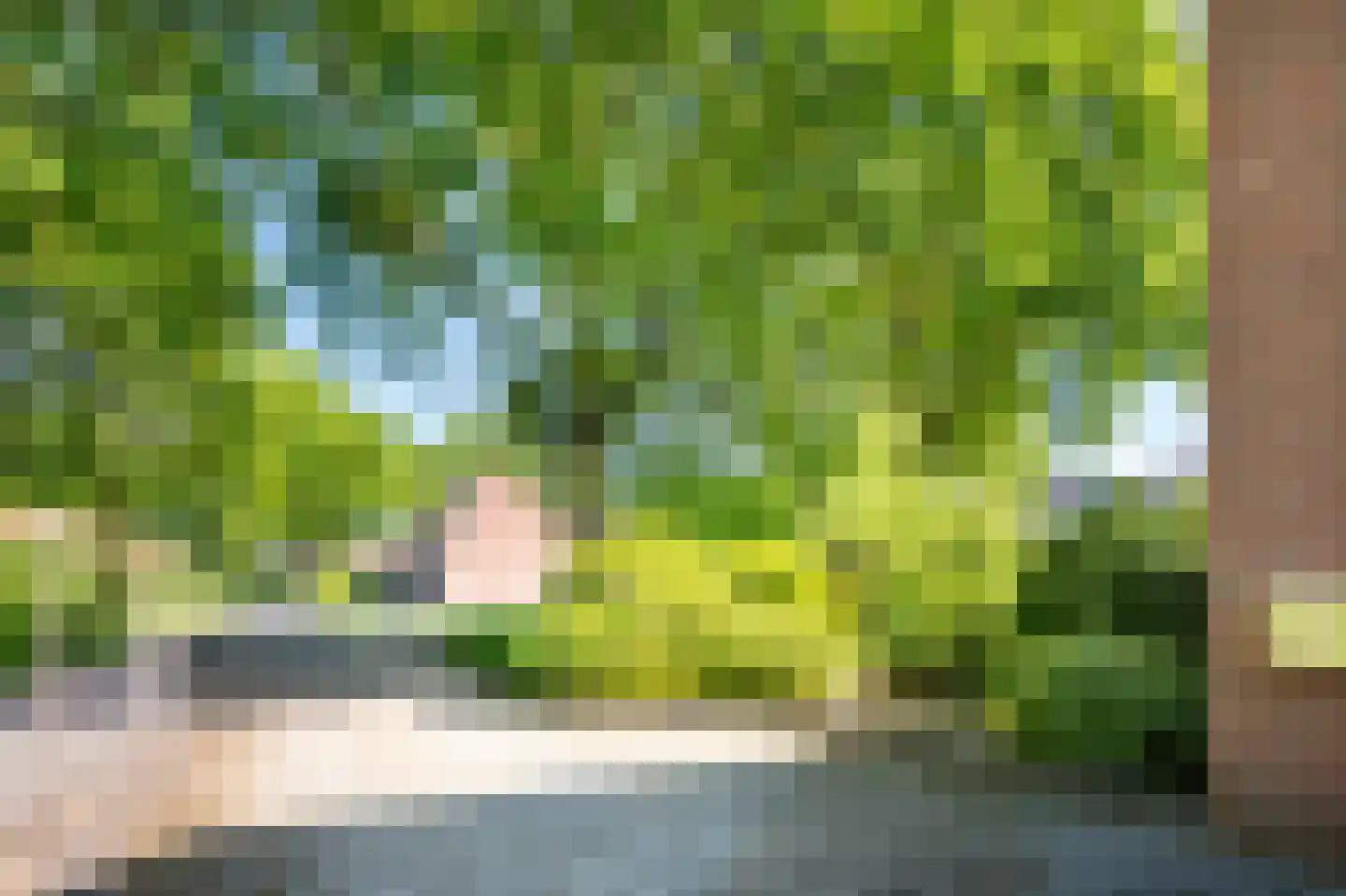 Staartmees 21 Emmen thumbnail 35