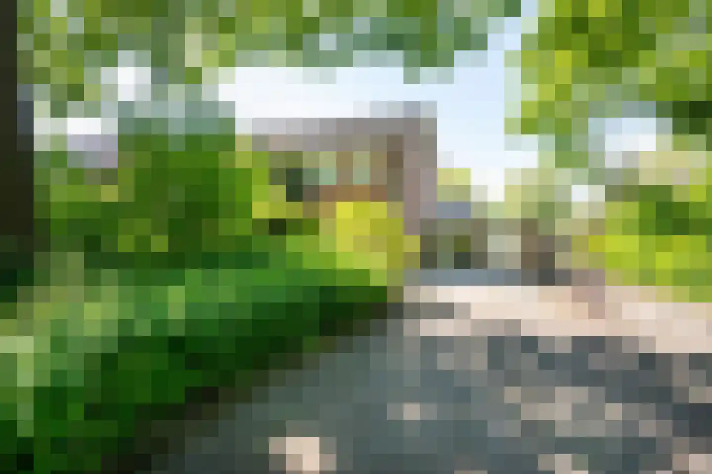 Staartmees 21 Emmen thumbnail 36