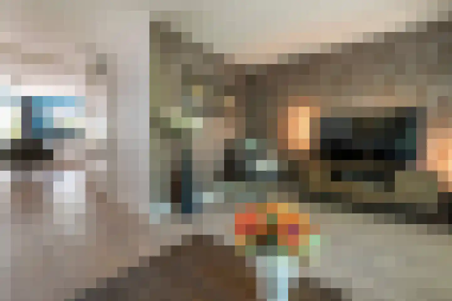Staartmees 21 Emmen thumbnail 7