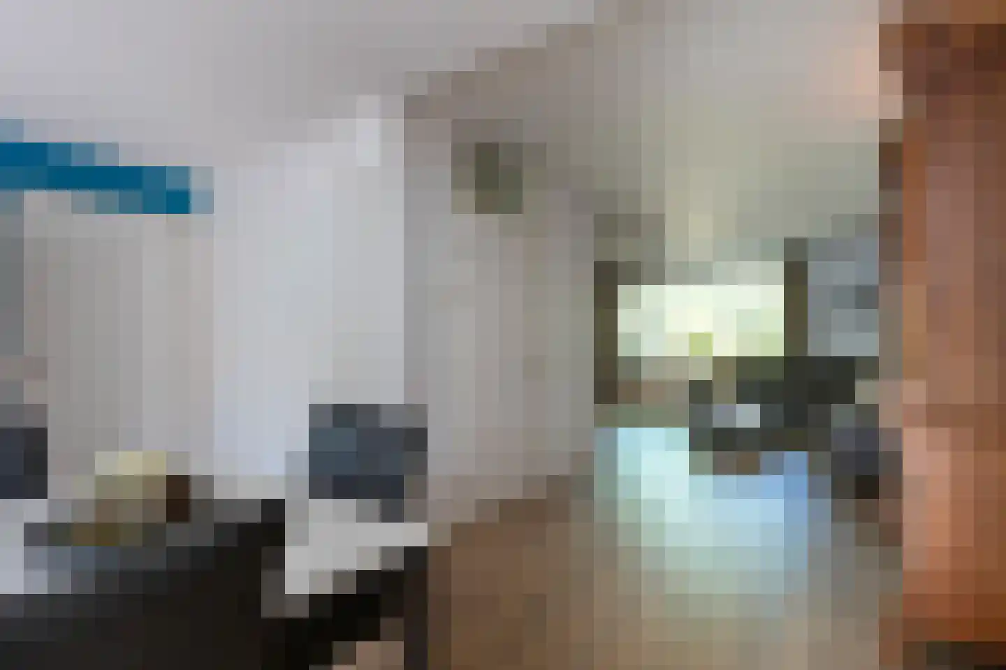 Staartmees 21 Emmen thumbnail 9