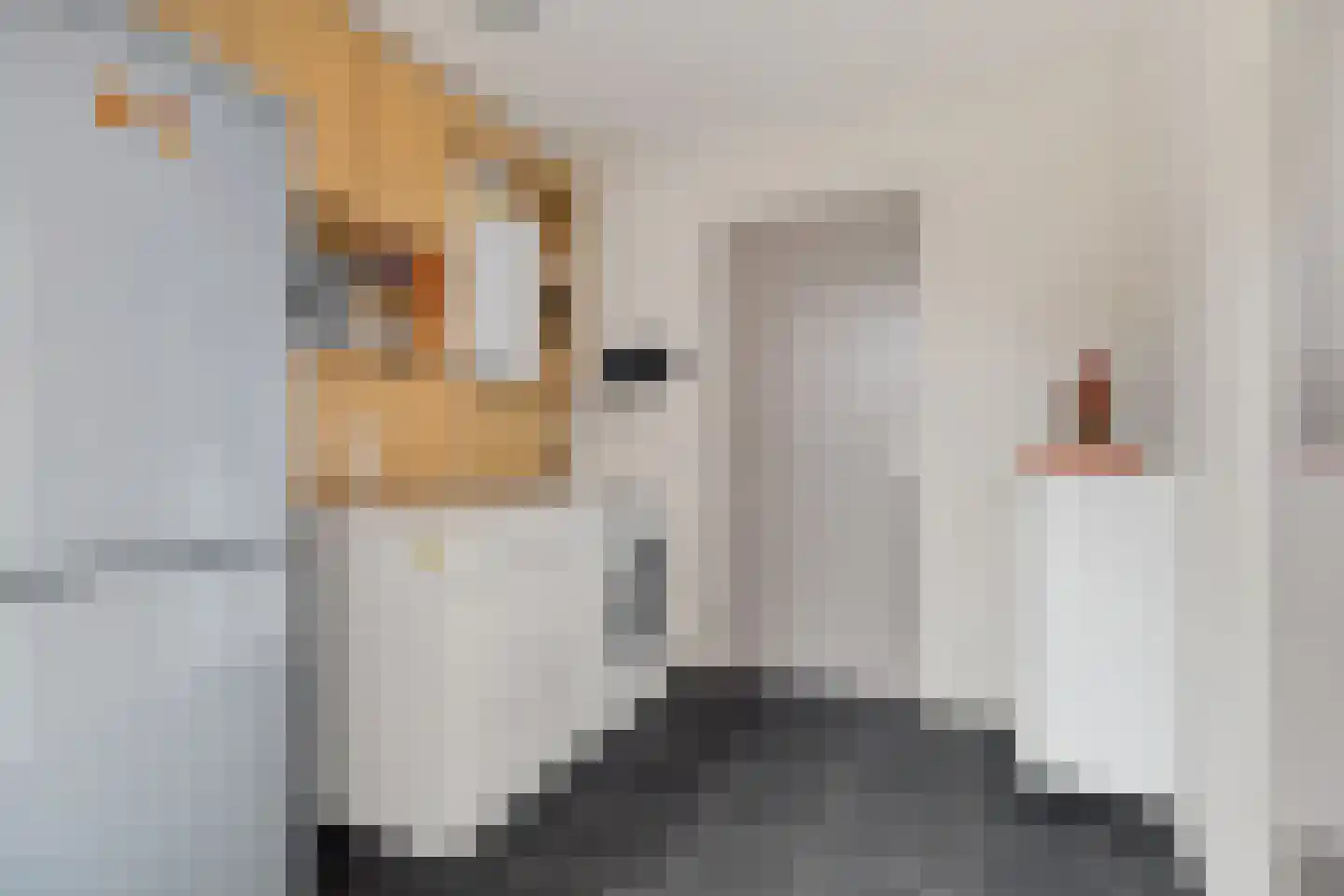Staartmees 23 Emmen thumbnail 16